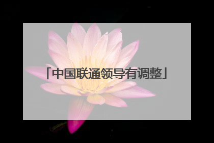 中国联通领导有调整