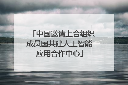 中国邀请上合组织成员国共建人工智能应用合作中心
