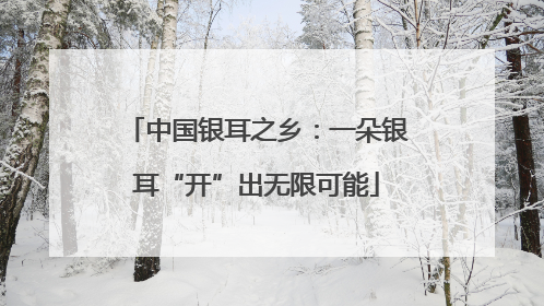 中国银耳之乡：一朵银耳“开”出无限可能