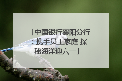 中国银行襄阳分行：携手员工家庭 探秘海洋迎六一