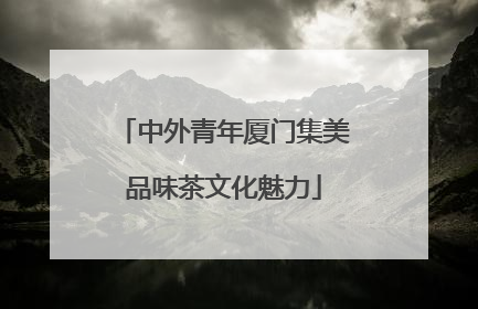 中外青年厦门集美品味茶文化魅力