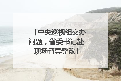 中央巡视组交办问题，省委书记赴现场督导整改