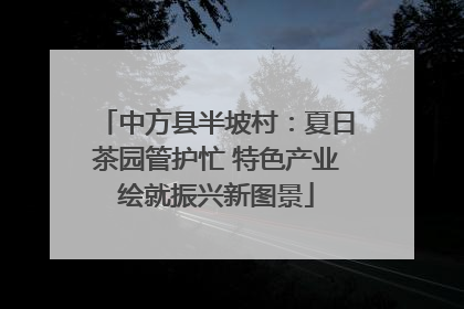 中方县半坡村：夏日茶园管护忙 特色产业绘就振兴新图景