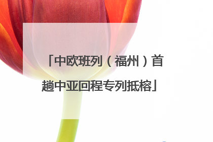 中欧班列（福州）首趟中亚回程专列抵榕