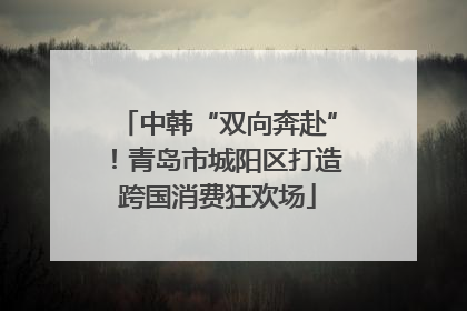 中韩“双向奔赴”！青岛市城阳区打造跨国消费狂欢场