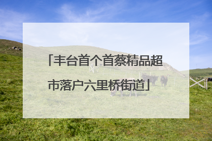 丰台首个首蔡精品超市落户六里桥街道