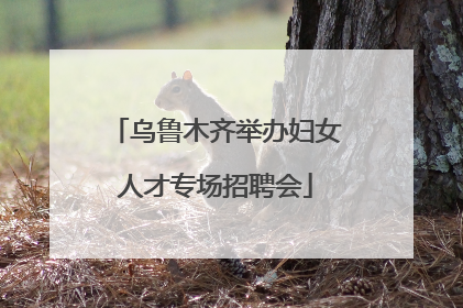 乌鲁木齐举办妇女人才专场招聘会
