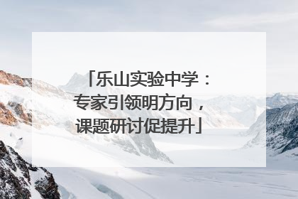 乐山实验中学：专家引领明方向，课题研讨促提升