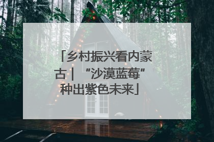 乡村振兴看内蒙古｜“沙漠蓝莓”种出紫色未来