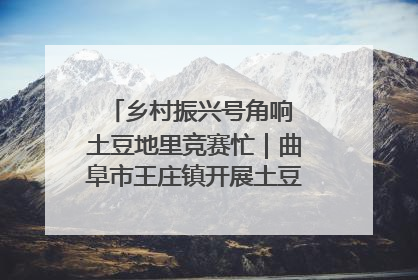 乡村振兴号角响 土豆地里竞赛忙｜曲阜市王庄镇开展土豆收获劳动竞赛