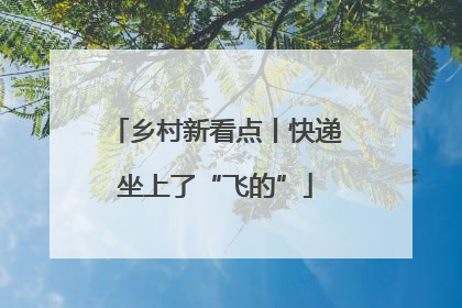 乡村新看点丨快递坐上了“飞的”