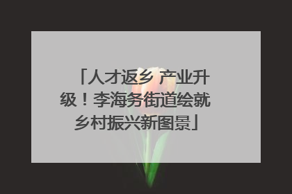 人才返乡 产业升级！李海务街道绘就乡村振兴新图景