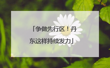 争做先行区！丹东这样持续发力
