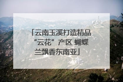 云南玉溪打造精品“云花”产区 蝴蝶兰飘香东南亚