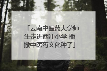 云南中医药大学师生走进西冲小学 播撒中医药文化种子