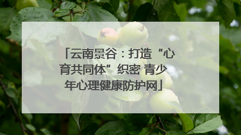 云南景谷：打造“心育共同体”织密 青少年心理健康防护网