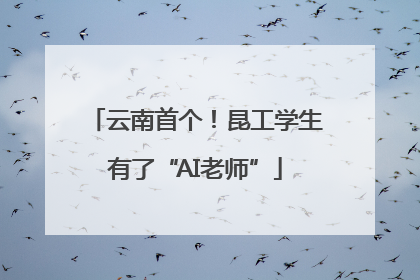 云南首个！昆工学生有了“AI老师”