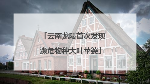 云南龙陵首次发现濒危物种大叶苹婆