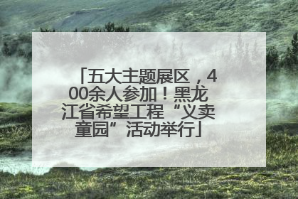 五大主题展区，400余人参加！黑龙江省希望工程“义卖童园”活动举行