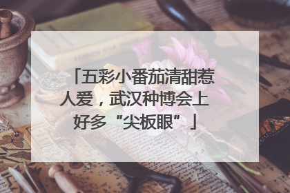 五彩小番茄清甜惹人爱，武汉种博会上好多“尖板眼”