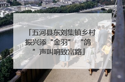 五河县东刘集镇乡村振兴添“金羽” “鸽”声叫响致富路
