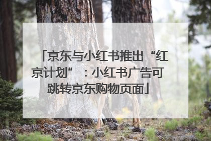 京东与小红书推出“红京计划”：小红书广告可跳转京东购物页面