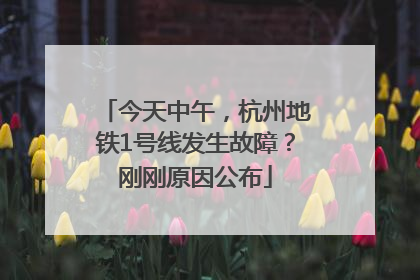 今天中午，杭州地铁1号线发生故障？刚刚原因公布