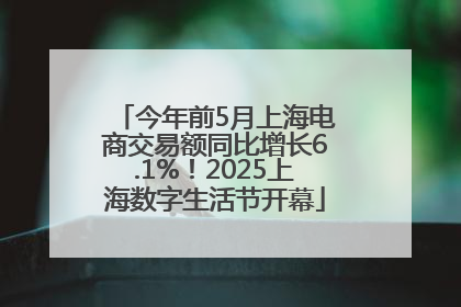 今年前5月上海电商交易额同比增长6.1%！2025上海数字生活节开幕