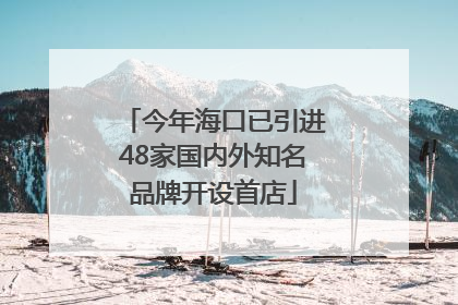 今年海口已引进48家国内外知名品牌开设首店