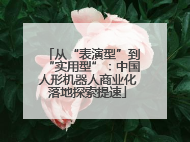 从“表演型”到“实用型”：中国人形机器人商业化落地探索提速