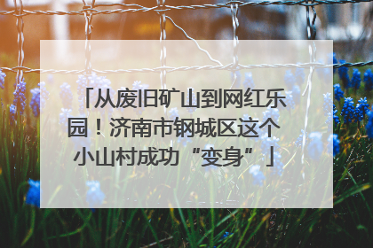 从废旧矿山到网红乐园！济南市钢城区这个小山村成功“变身”