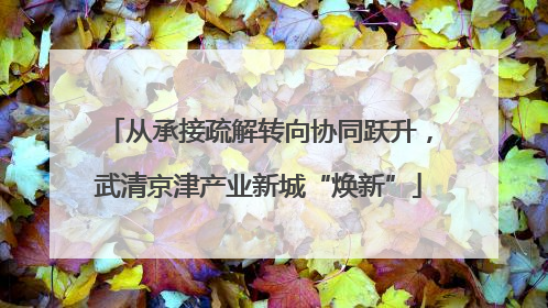 从承接疏解转向协同跃升，武清京津产业新城“焕新”