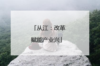 从江：改革赋能产业兴