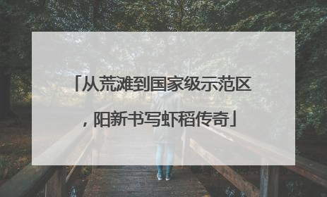 从荒滩到国家级示范区，阳新书写虾稻传奇
