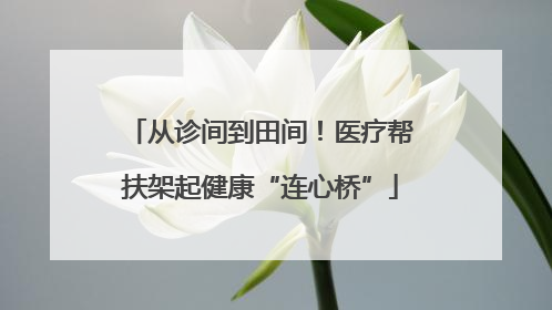 从诊间到田间！医疗帮扶架起健康“连心桥”