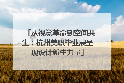 从视觉革命到空间共生：杭州美职毕业展呈现设计新生力量