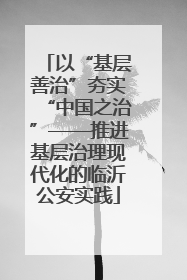 以“基层善治”夯实“中国之治”——推进基层治理现代化的临沂公安实践