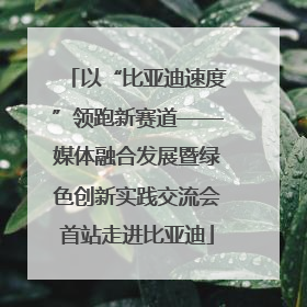 以“比亚迪速度”领跑新赛道——媒体融合发展暨绿色创新实践交流会首站走进比亚迪