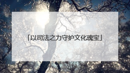 以司法之力守护文化瑰宝
