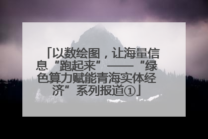 以数绘图，让海量信息“跑起来”——“绿色算力赋能青海实体经济”系列报道①