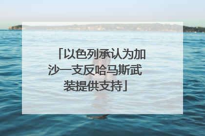 以色列承认为加沙一支反哈马斯武装提供支持