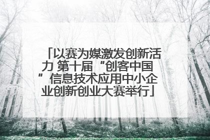 以赛为媒激发创新活力 第十届“创客中国”信息技术应用中小企业创新创业大赛举行