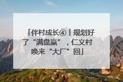 伴村成长④丨规划好了“满盘赢”，仁义村唤来“大厂”回