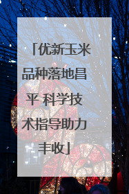优新玉米品种落地昌平 科学技术指导助力丰收