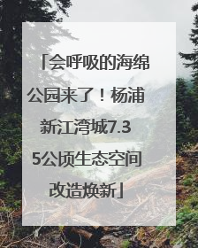 会呼吸的海绵公园来了！杨浦新江湾城7.35公顷生态空间改造焕新