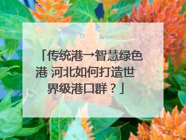 传统港→智慧绿色港 河北如何打造世界级港口群？