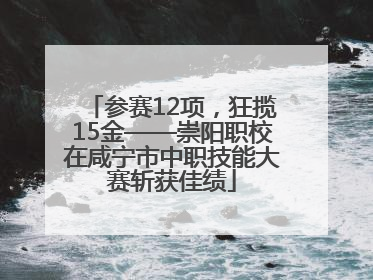 参赛12项，狂揽15金——崇阳职校在咸宁市中职技能大赛斩获佳绩