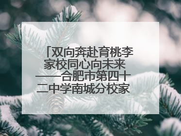 双向奔赴育桃李 家校同心向未来——合肥市第四十二中学南城分校家长学校期末总结会圆满召开