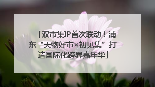 双市集IP首次联动！浦东“天物好市×初见集”打造国际化跨界嘉年华