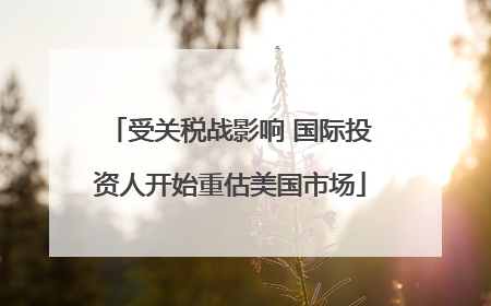 受关税战影响 国际投资人开始重估美国市场